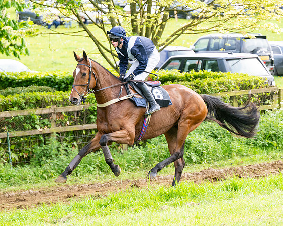 Race 5  - Novice riders (42 of 188)