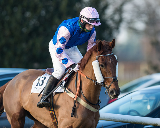 Race 2 - PPORA Novice Riders  (59 of 205)