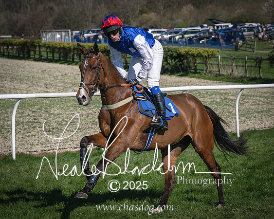 Race 6 - Veteran horse (28 of 109)