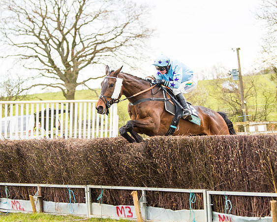 Race 6 - 6 year old and over Maiden 2m4f (38 of 62)