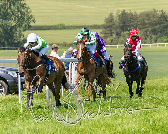 Pony Races  (76 of 141)