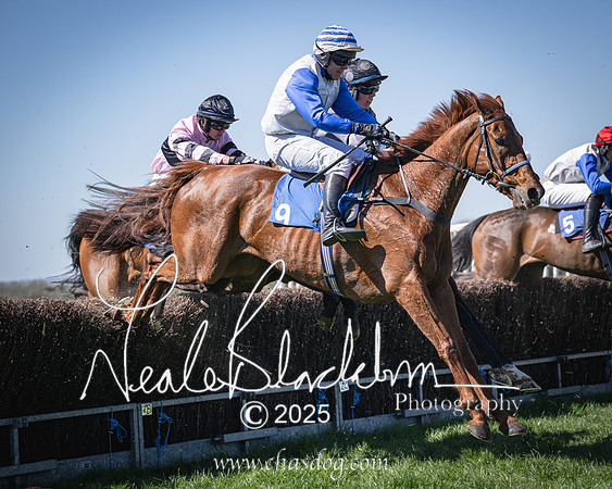 Race 2 - The Maiden (77 of 118)