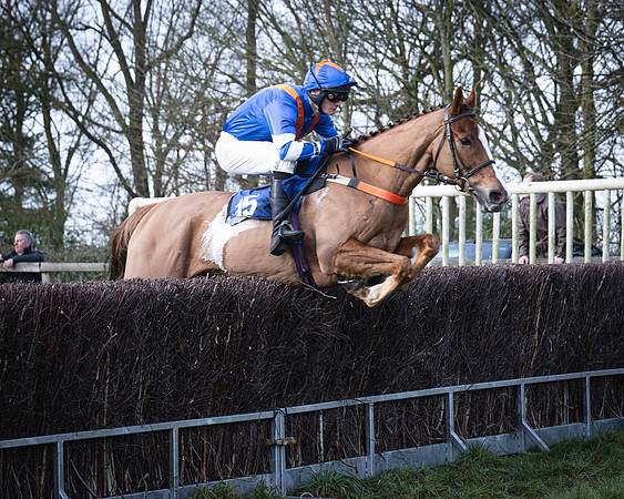 Race 2 - Maiden (71 of 145)