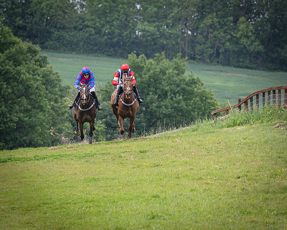 Race 2 - The Restricted race (46 of 84)
