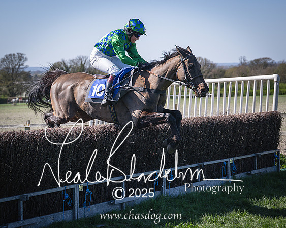 Race 5 - The restricted (96 of 113)