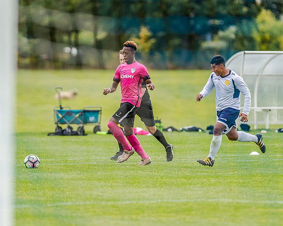 edsv 6-0 191016 (231 of 257)