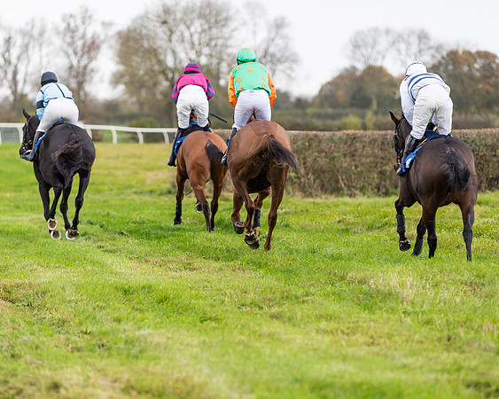 Race 2 - 3 mile maiden Div 1  (114 of 349)