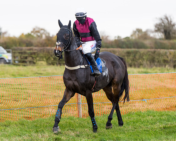 Race 2 - 3 mile maiden Div 1  (119 of 349)