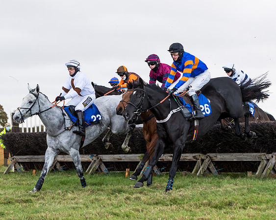 Race 2 - 3 mile maiden Div 1  (143 of 349)