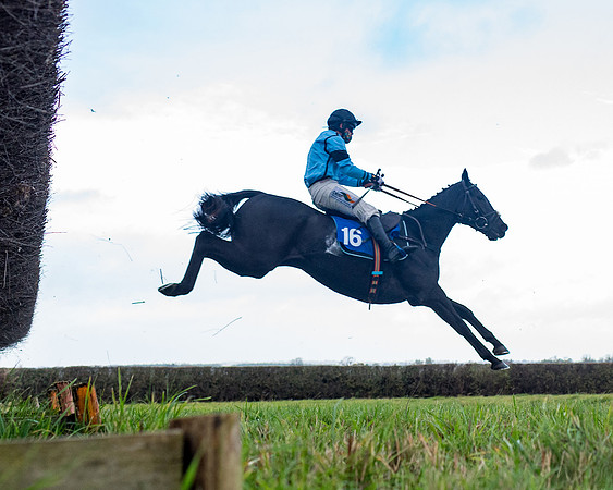 Race 2 - 3 mile maiden Div 1  (193 of 349)