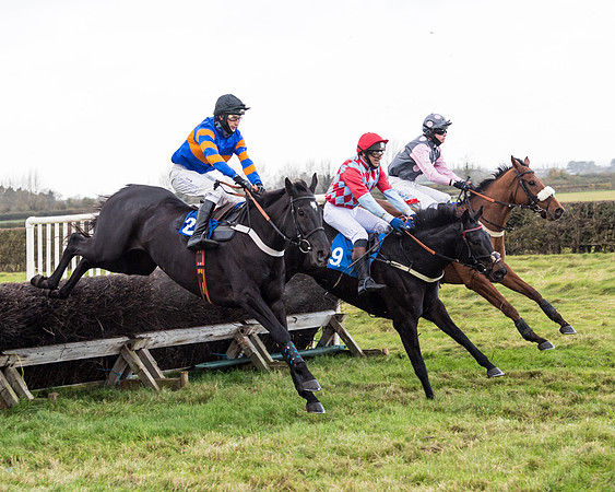 Race 2 - 3 mile maiden Div 1  (197 of 349)