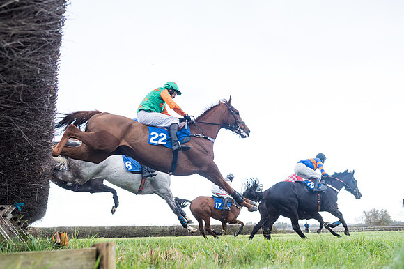 Race 2 - 3 mile maiden Div 1  (206 of 349)