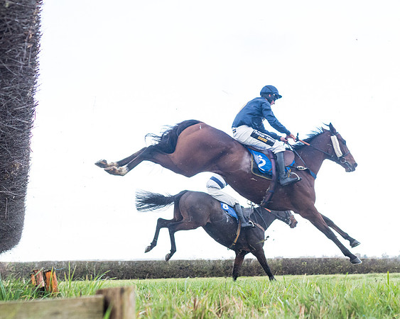 Race 2 - 3 mile maiden Div 1  (219 of 349)