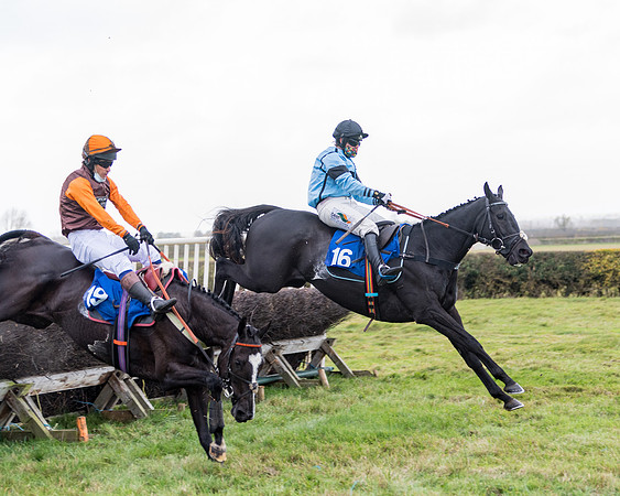 Race 2 - 3 mile maiden Div 1  (245 of 349)