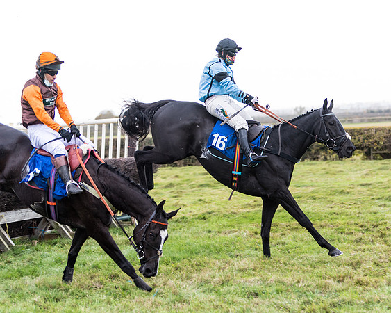 Race 2 - 3 mile maiden Div 1  (247 of 349)