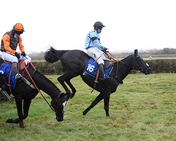 Race 2 - 3 mile maiden Div 1  (248 of 349)