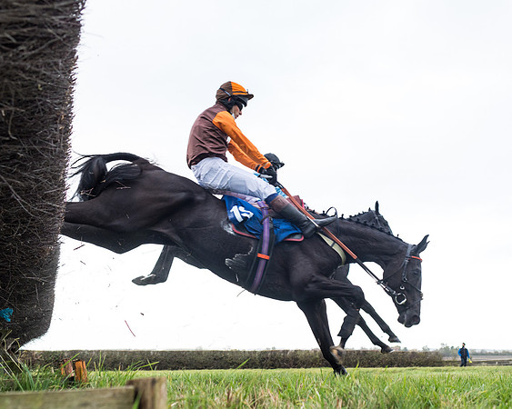 Race 2 - 3 mile maiden Div 1  (249 of 349)