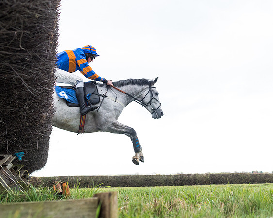 Race 2 - 3 mile maiden Div 1  (276 of 349)