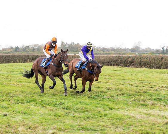 Race 2 - 3 mile maiden Div 2  (52 of 370)