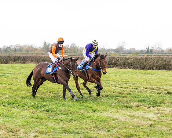 Race 2 - 3 mile maiden Div 2  (54 of 370)