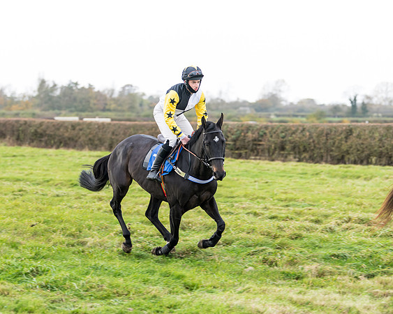 Race 2 - 3 mile maiden Div 2  (62 of 370)