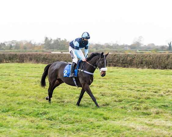 Race 2 - 3 mile maiden Div 2  (65 of 370)