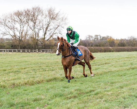 Race 2 - 3 mile maiden Div 2  (127 of 370)