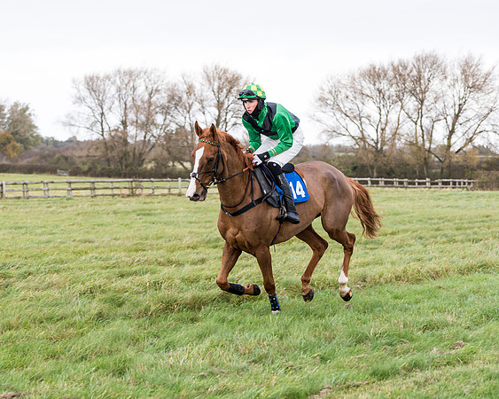 Race 2 - 3 mile maiden Div 2  (132 of 370)