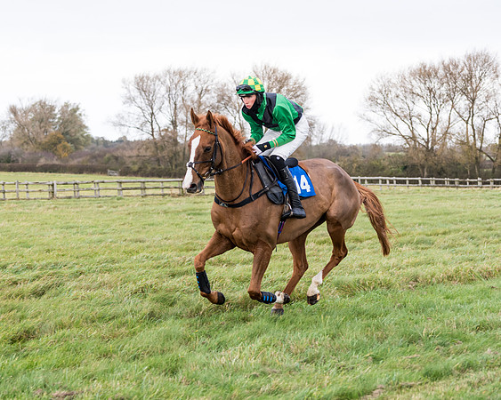 Race 2 - 3 mile maiden Div 2  (133 of 370)