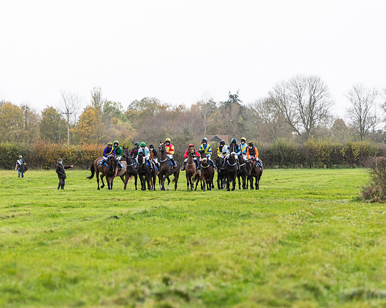 Race 2 - 3 mile maiden Div 2  (134 of 370)