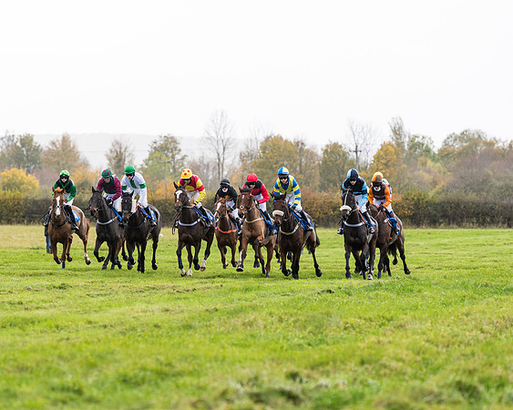 Race 2 - 3 mile maiden Div 2  (137 of 370)