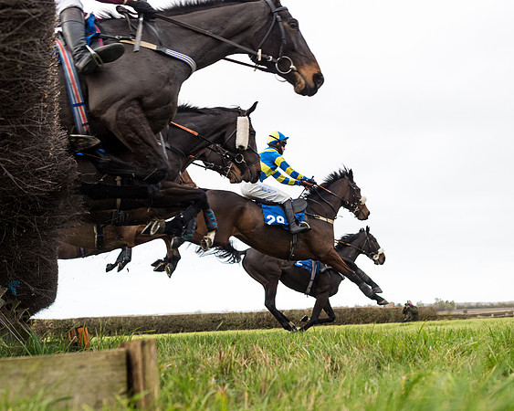 Race 2 - 3 mile maiden Div 2  (153 of 370)