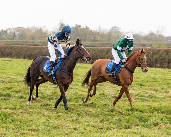 Race 6 - PPORA Novice Riders (6 of 290)