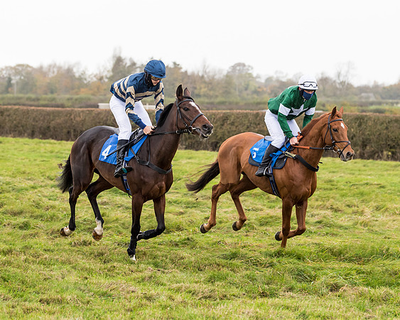Race 6 - PPORA Novice Riders (7 of 290)