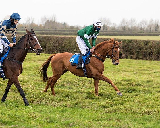 Race 6 - PPORA Novice Riders (9 of 290)