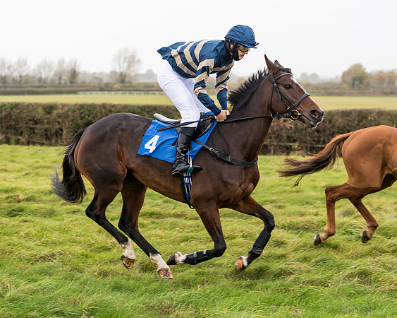 Race 6 - PPORA Novice Riders (10 of 290)