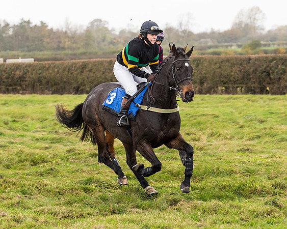 Race 6 - PPORA Novice Riders (12 of 290)