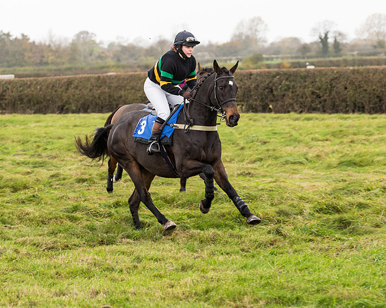 Race 6 - PPORA Novice Riders (13 of 290)