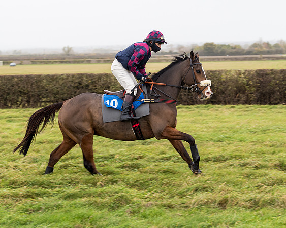 Race 6 - PPORA Novice Riders (19 of 290)