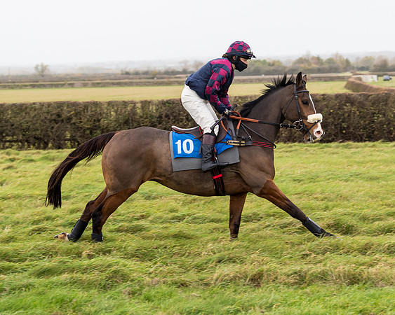 Race 6 - PPORA Novice Riders (20 of 290)