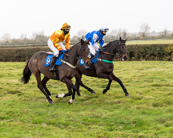 Race 6 - PPORA Novice Riders (22 of 290)
