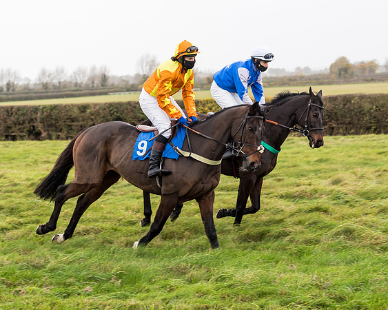 Race 6 - PPORA Novice Riders (26 of 290)