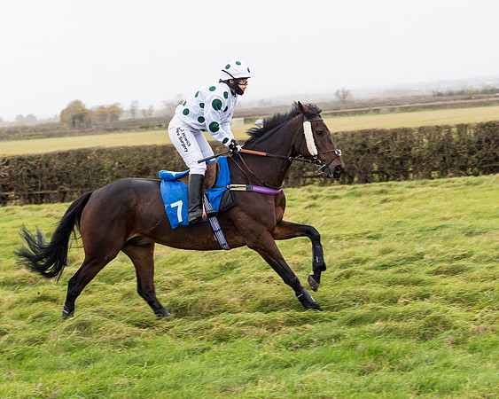 Race 6 - PPORA Novice Riders (30 of 290)