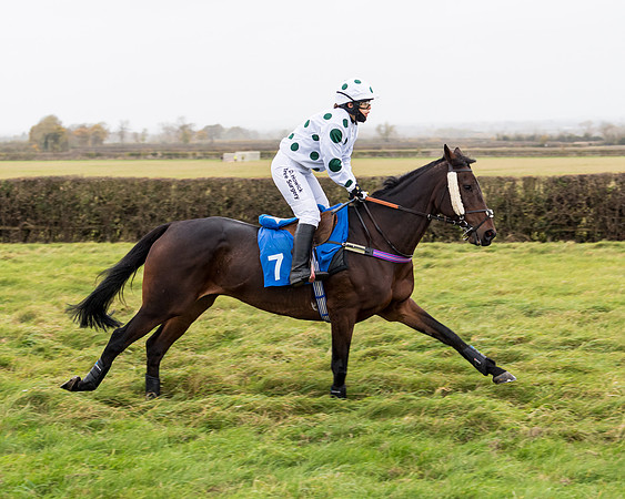Race 6 - PPORA Novice Riders (31 of 290)