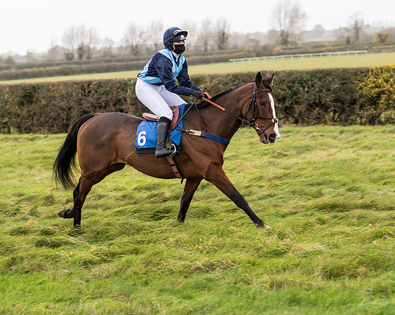 Race 6 - PPORA Novice Riders (37 of 290)