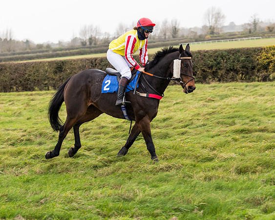 Race 6 - PPORA Novice Riders (39 of 290)