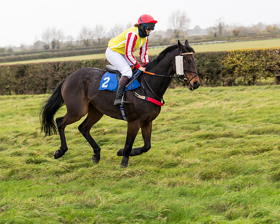 Race 6 - PPORA Novice Riders (40 of 290)