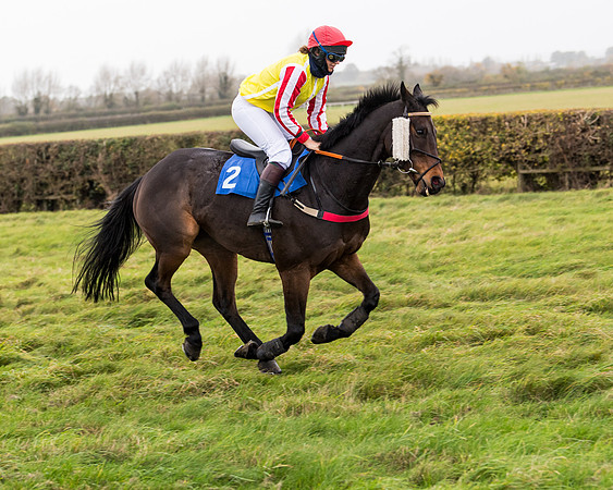 Race 6 - PPORA Novice Riders (41 of 290)