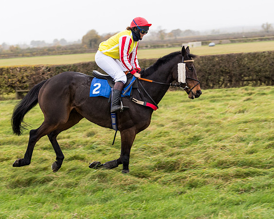 Race 6 - PPORA Novice Riders (43 of 290)