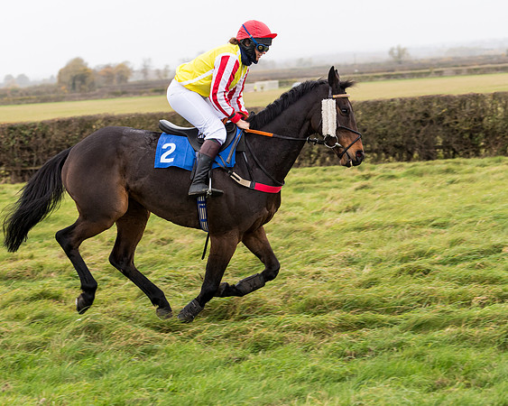 Race 6 - PPORA Novice Riders (44 of 290)